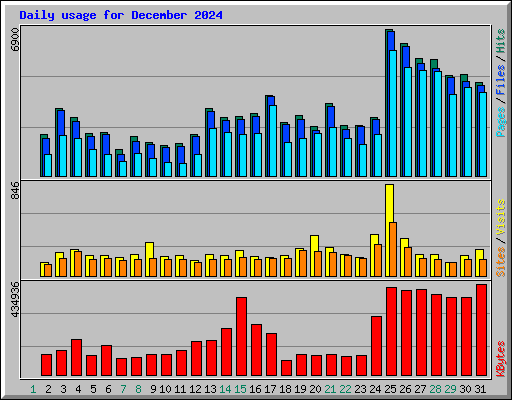 Daily usage for December 2024
