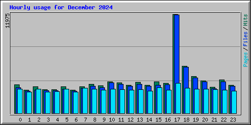 Hourly usage for December 2024