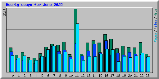 Hourly usage for June 2025