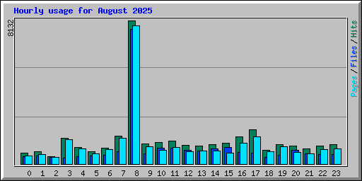 Hourly usage for August 2025