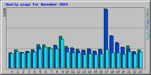 Hourly usage for November 2024