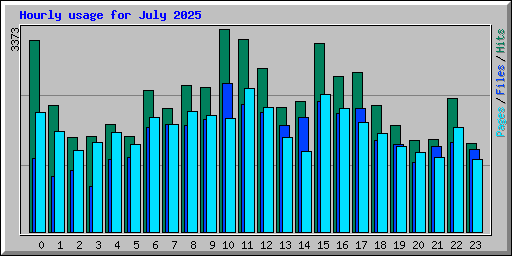 Hourly usage for July 2025